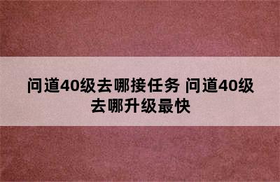 问道40级去哪接任务 问道40级去哪升级最快